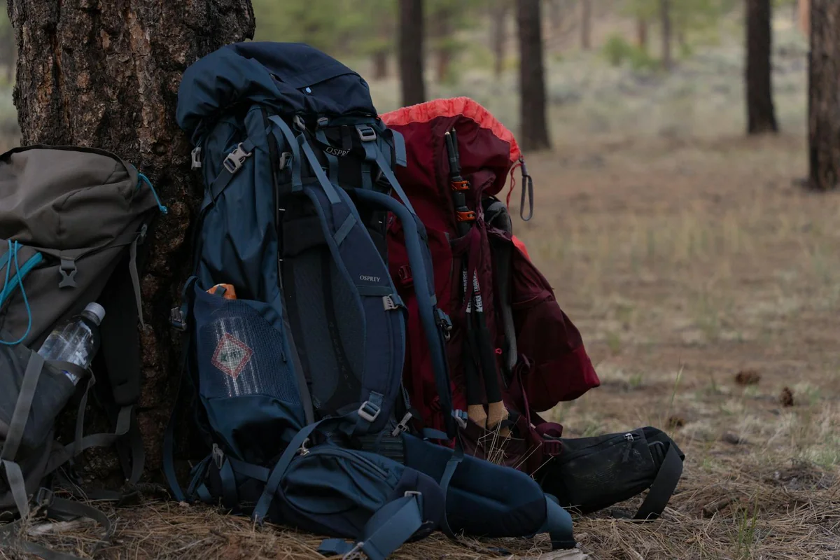 Dos mochilas de senderismo apoyadas en un árbol en bosque — equipamiento de evacuación listo para una salida de emergencia