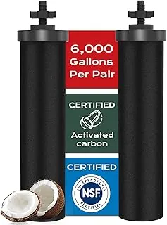 Filtro de agua certificado NSF/ANSI 42 y 372, repuesto de filtro de agua por gravedad para elementos de purificación negros Berkey® BB9-2® y sistema de filtro de gravedad Berkey®, paquete de 2