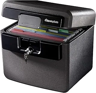 SentrySafe HD4100 - Caja fuerte ignífuga e impermeable con cerradura de llave (0.65 pies cúbicos)